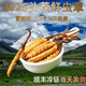 正品2025头期草新鲜冬虫夏草头茬虫草0.8克/根鲜虫草顺丰冷链发货 西藏鲜草1.0-1.2克每根30条送2条