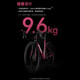 喜德盛（xds）xds ad350喜德盛ad350 25款公路车喜德盛公路车公路自行车喜德盛 2025款|鸽子灰 700Cx480mm|身高165-175cm