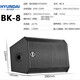 Hyundai Moderner BK8 Professioneller kleiner und mittlerer Konferenzraum Audio-Set Wall-montierter Lautsprecher Bluetooth-Verstärker Wireless Mikrofonkombination Unterricht Trainingspeicher Audiosystemausrüstung [vier Audio/No Microfon] Audio-Set (100-200 Quadratmeter) (100-200 Quadratmeter)