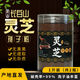Beijing tongrentang misma calidad Changbaishan auténtica ganoderma lucidum esporas en polvo salvaje sin aditivos 100g 500g