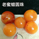 Xiangmanxiu natural amber old beeswax loose beads round beads diamond separated beads top beads star and moon bracelet bracelet with beads diy accessories selected old honey bead diameter 18mm single