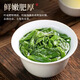 安溪铁观音一级乌龙茶兰花香铁观音新茶清香型小罐茶叶绿茶自己喝 安溪铁观音【100克】
