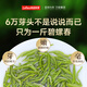Lepin le Tee Biluochun Grüner Tee 2025 Neue Tee vor dem Ming Ming Sonderer Frühlings Tee Tender Sprossen Tee Kaltbrauen Tee Reliefe Sommer 250g Geschenkstüte
