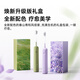 Laifen Generation Sweeping Electric Toothbrush SE Gift Box Model Laifen Comfortable Cleaning Gum Protecting Toothbrush Birthday Gift for Women Hyacinth Purple