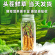 2025 Fresh Cordyceps Head Period Authentic Fresh Cordyceps Selection of Fresh Grass Big Grass SF Express Cold Chain Production Directly Haired. Tibet Nagqu Fresh Cordyceps 0.8 grams each pack of 20 pieces