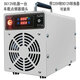 Maple Flower New Product 10G20G Ozone Disinfection Machine Home Hotel Deodorization Food Factory Ozone Generator Breeding Farm Sterilization School Hospital Deodorization Ozone Machine Space Disinfection Car DC12V Cigarette Lighter Plug + 220V-12V Converter