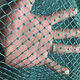 Chicken net, chicken net, fishing net, breeding net, fence net, nylon vegetable garden fence, climbing vine grid, chicken net, protective fish net, thickened 18 strands, 3 cm thickened ribs, 2 meters high and 100 meters long