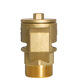 OIMG756 Brass Vacuum Destroyer Outer Wire Suction Valve Anti-Negative Pressure Valve Automatic Anti-Vacuum Valve AAV-16T Brass Suction Valve DN502 Inch (Type 756)