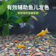 Stream stone ultra-fine bottom sand fish tank turtle tank bottom sand stream sand bottom stone fish tank landscaping stone native stone 3 to 5 cm 30-50 g