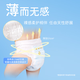 泰迪熊臻薄纸尿裤/拉拉裤试用装  婴儿尿不湿 体验装 臻薄纸尿裤XL4片