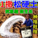 Soil loosening essence without deep plowing to improve soil hardening soil activator black water fertilizer vegetable garden plowing and loosening artifact 500g 1 bag loosening essence soil activator