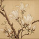 溥畔明文徵明白玉兰图卷花鸟画微喷仿古复制品新中式装饰画卷轴挂画 明文征明白玉兰图卷28X256厘米1 专用宣纸喷绘乳白色横轴装裱