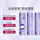 欧莱雅 L'OREAL玻尿酸水光洗发露100ml控油蓬松护发紫瓶洗发露保湿柔顺旅行装 欧莱雅玻尿酸洗发露100ml*2瓶