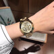 迈克.科尔斯（MICHAEL KORS）mk手表michaelkors三眼大金表猫眼女表钢带女士表MK5798官方旗舰 MK6174/银色 表盘36mm