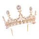 DL 1998 crown tiara for girls and children high-end crystal crown birthday gift princess baby hair clip hair pearl leaf style