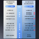喜德盛（xds）xds ad350喜德盛ad350 25款公路车喜德盛公路车公路自行车喜德盛 2025款|鸽子灰 700Cx480mm|身高165-175cm