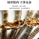 Haima medicinal materials, one male and one female, large seahorse dried wine combination, hexagonal sea dragon sea sparrow nourishing soup gift box 1 pair 4 grams (2 male and female 12-13cm)
