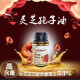 旭福（SCHIFF）美国品牌进口灵芝孢子油胶囊 成人品破壁灵芝孢子粉浓缩萃