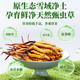 2025 frischer Cordyceps sinensis obere Periode ausgewählt frisch cordyceps Tibet frisch Cordyceps 0,7 Gramm pro Packung von 50 Teilen