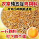 OIMG corn kernels for chicken feed, laying hens, full price feed, chicken, duck, goose, quail, 100Jin, Jin is equal to 0.5kg, chicken food formula, 100Jin, Jin is equal to 0.5kg, express delivery to towns and villages, chicken, duck, goose, quail, pass