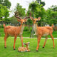 Fiberglass large animal sculpture simulated sika deer ornaments outdoor courtyard garden forest landscape lawn decoration No. 1 small lying deer right