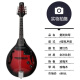 天鹅（SWAN）西洋乐器八弦曼陀铃琴 电声曼陀林吉他琴 民族乐器藏族曼陀铃琴 日落色-浙江仓发货