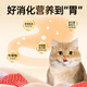 Good Master Gold Cat Food Full Price Nutritious Kittens and Adult Cats Universal High Meat High Protein High Meat High Protein 0 Grain Gold Gold Kitten Food
