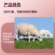 Jin Haoyuan Jin Haoyuan 5% ewe premix 50 Jin Jin is equal to 0.5 kg to improve postpartum recovery of breeding milk