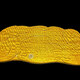 SMVP Myanmar Golden Nanmu Tee Tablett Massivholz Holzbaum Baumwurzel Wurzel Carving mit Drainage Lao Jiang Natural Kung fu chinesischer Tee Unterlicht Grau 1047-880