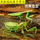 Shantoulin Village Kabaso Дистанционное управление Mantis Electric Toy Scrank Artifact Boy Boy Moves Spider Crawling Animals [Классическая версия - дистанционное управление божьей коровкой] Красная модель 9922