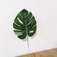 Korean style ins green plant shooting props leaves turtle leaves simulation living room creative decoration large leaf green plants flowers decoration cowhide bag three monstera + three iron leaves + one cowhide bag