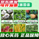 Sanliu Shanghai Tongrui Sanliu 3% gibberellic acid gibberellin 920 weight-increasing seedlings and increased yield plant growth regulator 25ml 100ml
