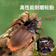 
Remote-controlled animal toys crawling Tik Tok cockroach Xiaoqiang simulates electric bug fake insect creative gift [classic version - remote control centipede] black model 9901+ [upgraded version] Another 24 electronics