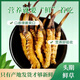 [2025 Erste Stoppeln frisches Gras] Frisch Cordyceps natürlicher frischer Cordyceps Echtes frisches Gras Ernährung tibetaner frisches Gras 1,0-1,2 Gramm/Stück 30 Stücke von 2 Stück Cordyceps geliefert von SF Express