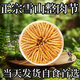 
Authentic Xinazang Qu Cordyceps sinensis broken grass Cordyceps sinensis broken grass self-eating gift nourishing health 10 grams special package Authentic Nagqu Broken Cordyceps sinensis 10 grams special package