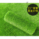 Simulated lawn carpet, artificial fake turf, artificial plastic outdoor kindergarten school green fence football field grass 3cm special thick export grass (10 square meters)