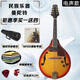 天鹅（SWAN）西洋乐器八弦曼陀铃琴 电声曼陀林吉他琴 民族乐器藏族曼陀铃琴 日落色-浙江仓发货