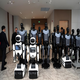 Miss Dolphin Robot Nanny Artificial Intelligence AI Education Research Humanoid Robot College Experimental Teaching School Exhibition Hall Opening Marketing Performance Dancing Welcome Rental Basic Edition [Supporting Secondary Development]