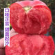 Big fruit 168 tomato seeds super sweet heat-resistant old variety tomato seeds high yield southern big fruit tomato seeds DF5562 original high yield new species 1000