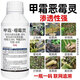30% metalaxalin soil disinfectant and fungicide, rice blight, cucumber root rot, verticillium wilt, Youli Shuangying-1000g*12 pieces