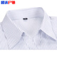 He Jiagong CCB work clothes women's formal wear collar white background blue vertical striped short-sleeved shirt square collar slim bank work clothes 3882 women's V-neck slim light blue twill long sleeves 41 (175/96A)
