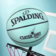 斯伯丁（SPALDING）官方描银字体专业篮球PU7号标准篮球室内室外礼物 77-753Y 七号篮球(标准球)