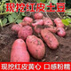 Hebei red-skinned large potatoes, fresh yellow-heart potatoes, freshly dug potatoes, ground eggs, potato noodles, hot pot wholesale, red-skinned large potatoes, 5Jin Jin is equal to 0.5kg, net weight, single fruit 150g+