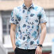 Pierre Cardin Summer Nuevo camisa de manga corta impresa para hombres camisa de negocios casual moderna de moda