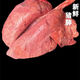 Fresh pig lungs, fresh ingredients, commercial pig offal, farmhouse free-range native pig pig lungs for hot pot, 2 pairs of high-quality food-grade pig lungs with tubes