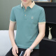 夏季薄款翻领男士短袖t恤潮流冰丝POLO衫保罗休闲简 黑色 QY719 M 100-120斤