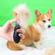 Pet Corgi dog comb combing brush to remove floating hair artifact Teddy Shiba Inu dog hair special supplies small dogs orange special for removing floating hair