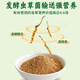 南京同仁堂发酵虫草菌粉cs-4  虫草菌丝体粉冬虫夏草菌粉原料粉500克 罐装250克+罐装250克【2瓶装共500克】