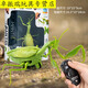 Shantoulin Village Kabaso Дистанционное управление Mantis Electric Toy Scrank Artifact Boy Boy Moves Spider Crawling Animals [Классическая версия - дистанционное управление божьей коровкой] Красная модель 9922