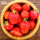 Shouhe Cream Strawberry Seeds Indoor Four Seasons Winter and Spring Potted Cream White Strawberry Winter and Spring Sowing Seeds Cream Red Strawberry Seeds Small Bag Trial Planting About 100